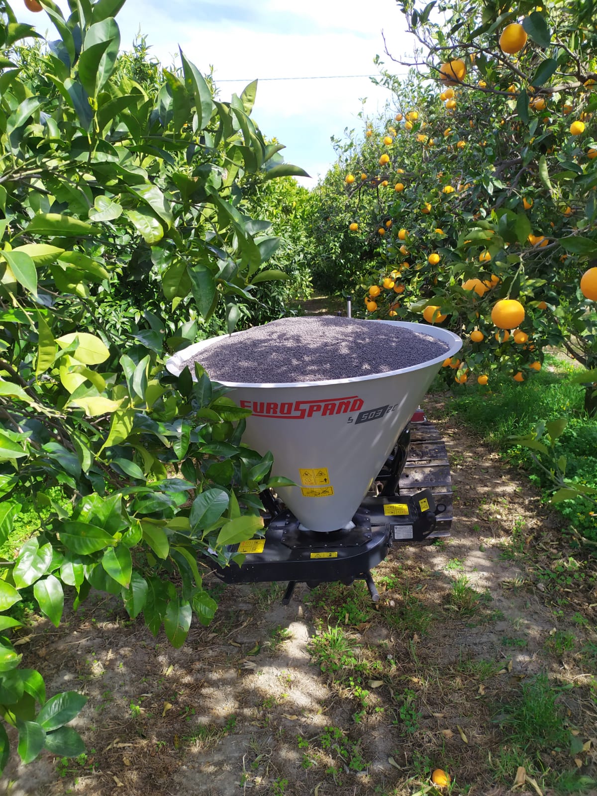 fertilizer spreader for citrus orchards