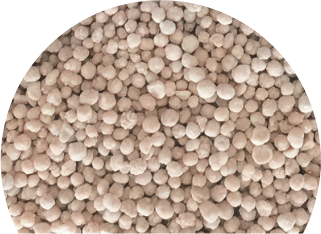 Granuli di fertilizzante per spandiconcime Eurospand, ideali per agricoltura.