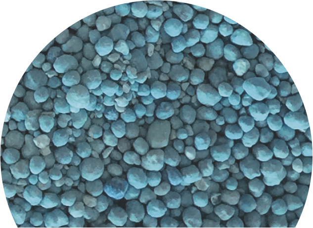 Granuli di fertilizzante azzurri, ideali per una distribuzione uniforme con spandiconcime.