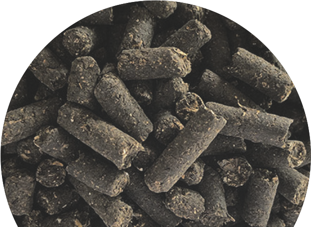 Pellet di fertilizzante organico per una nutrizione sostenibile del terreno.